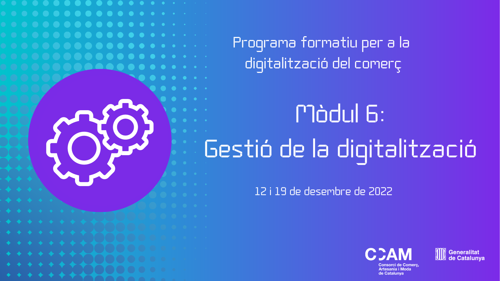 Módulo 6 - Programa Formativo para la Digitalización del Comercio - Gestión de la digitalización