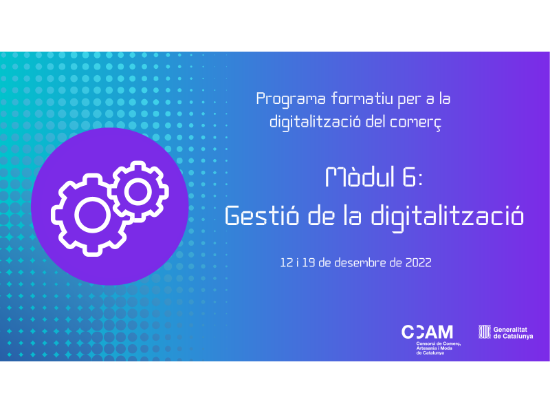 Mòdul 6 - Programa Formatiu per la Digitalizació del Comerç - Gestió de la digitalització