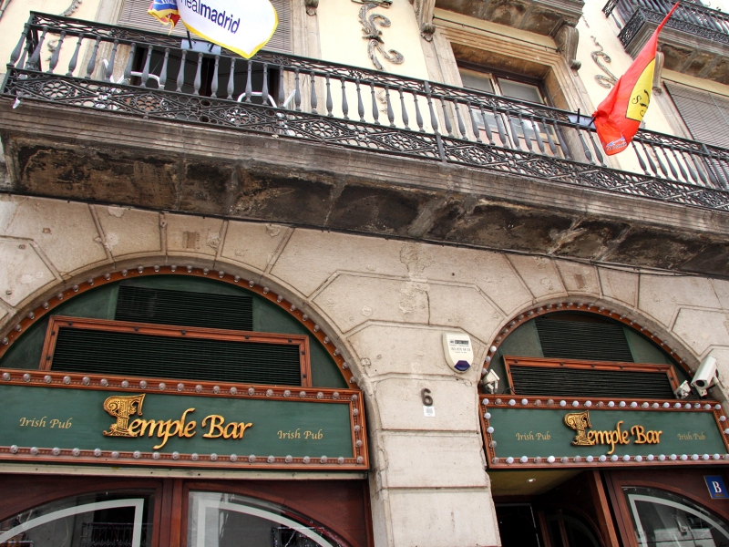 Temple Bar Irish Pub (3)