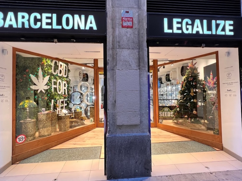 Barcelona Legalize (4)